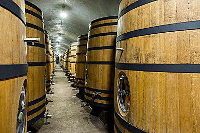 《我被美女包围2》开发进展：视觉效果迎来重大升级